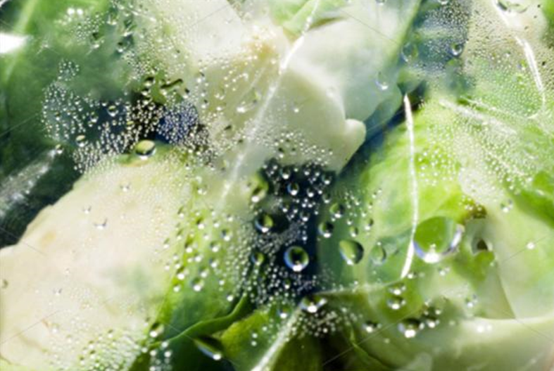 1748565686311623.png image.png