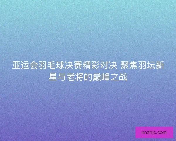 亚运会羽毛球决赛精彩对决 聚焦羽坛新星与老将的巅峰之战