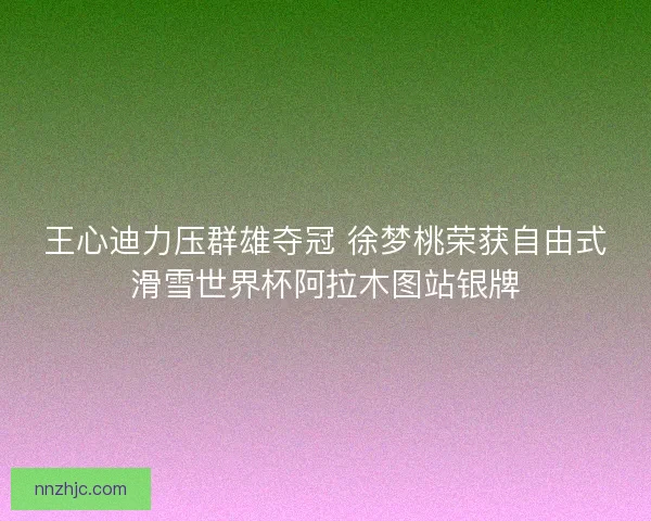 王心迪力压群雄夺冠 徐梦桃荣获自由式滑雪世界杯阿拉木图站银牌
